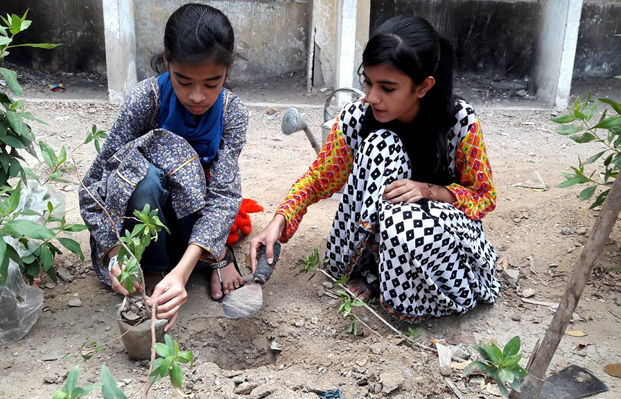 Niños Plantando una Huerta en su Escuela