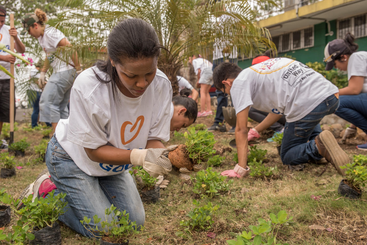 people doing good deeds