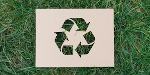 5 Ways You Can Reduce Waste Today